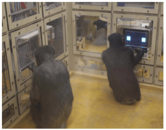 Photo credit: Christopher Flynn Martin, study lead author.