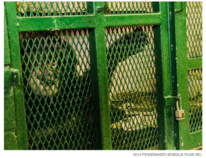 Screen shot 2014-12-05 at 6.12.26 PM