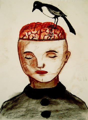 Exposed brain and magpie. By Curious Expeditions on Flickr.