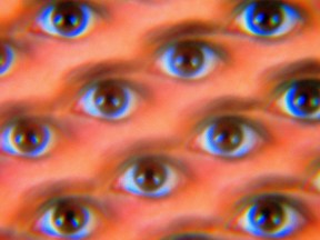 The All-Seeing Eyes by Caneles on Flickr. CC 2.0 license.