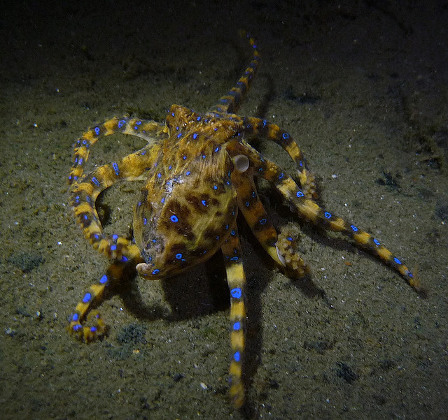 3281235824_eb8493125f_z