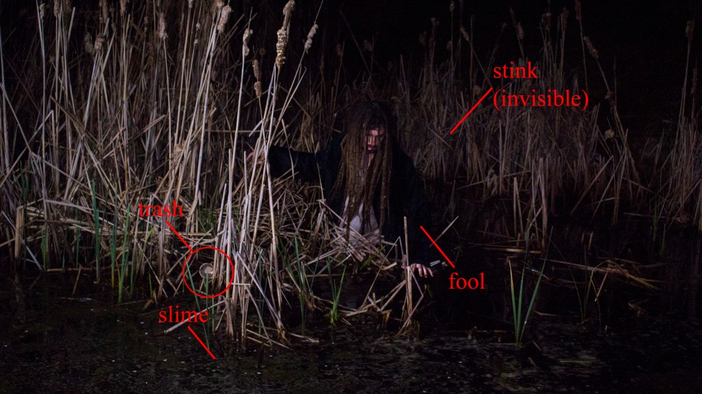 A Frank in a Swamp