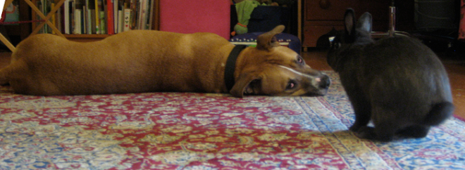 max and kichirou edit