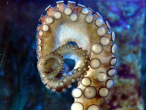 3951158255_91401dd80a