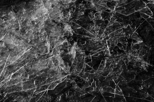 6842477087_91f0866575_b