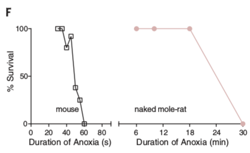 survival curves