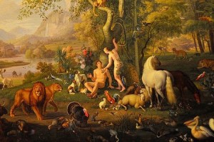 16895519109_b0b8ea19eb_z (2)