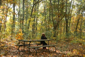 30433327222_880f66d0e2_o