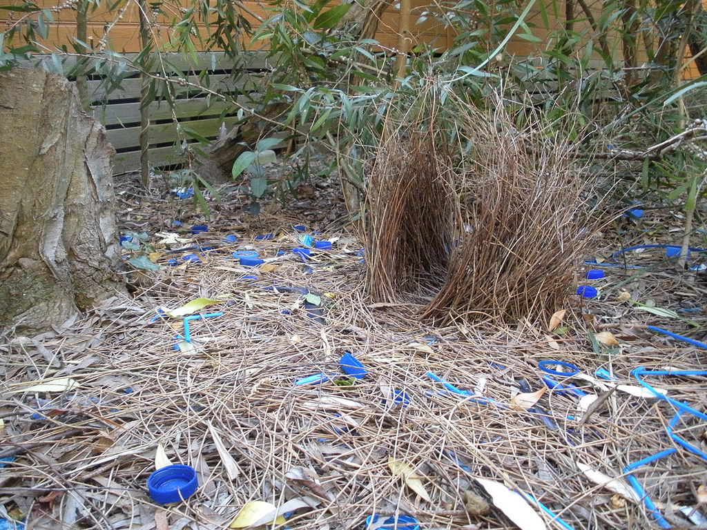 On reading poems from Donika Kelly’s ‘Bestiary’ in jail.