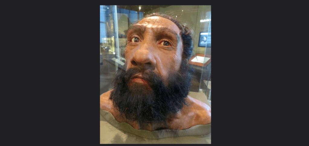 On the celebration of Neanderthals.