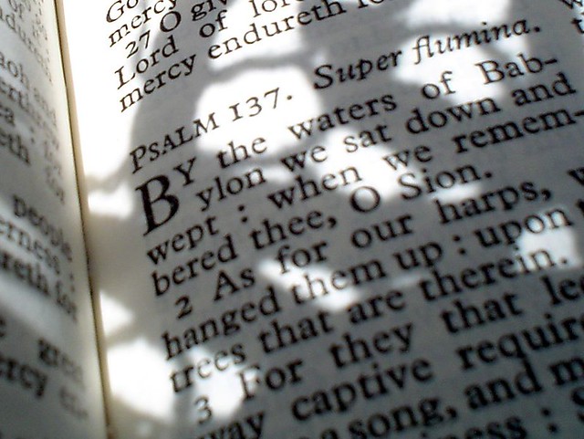 A sun-dappled photograph of a page of the Bible.