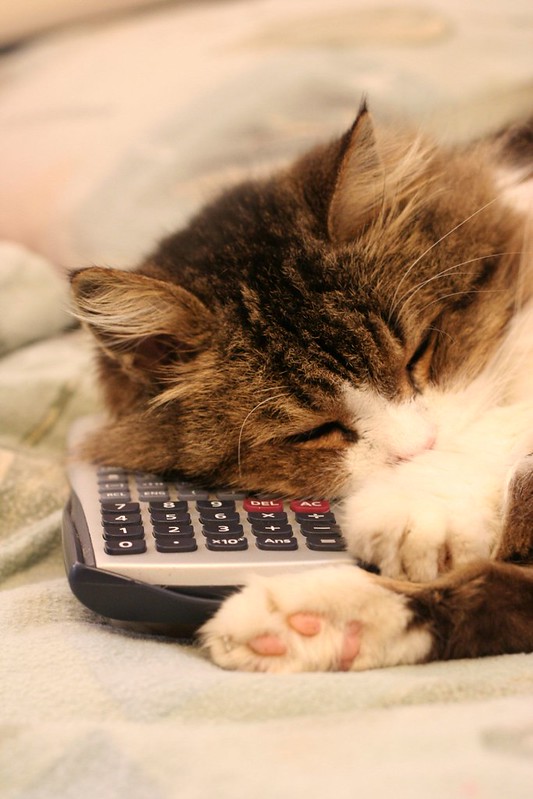 Wavelike cats calculate faster than you can.